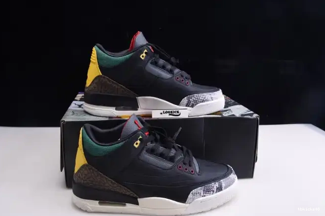 Rep TBkick - CV3583-003 Retro 3 2.0 Instinct Animal SE Jordan Air 0528